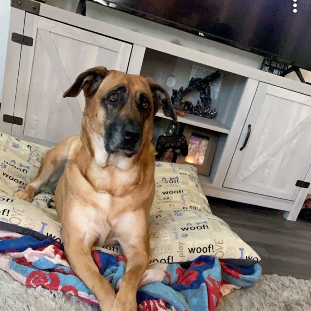 Meet your Posher, Aaron